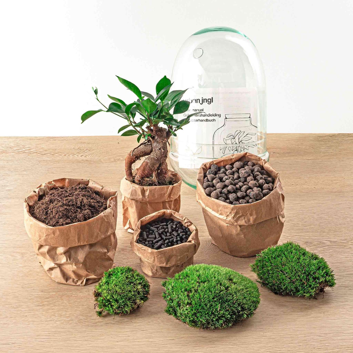 DIY terrarium | Egg Bonsai | ↕ 25 cm
