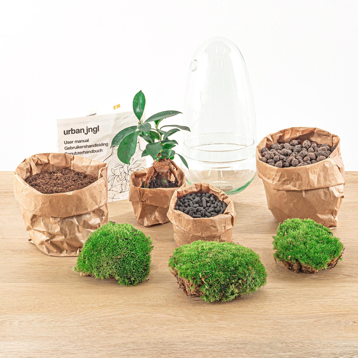 DIY terrarium | Egg Bonsai | ↕ 25 cm