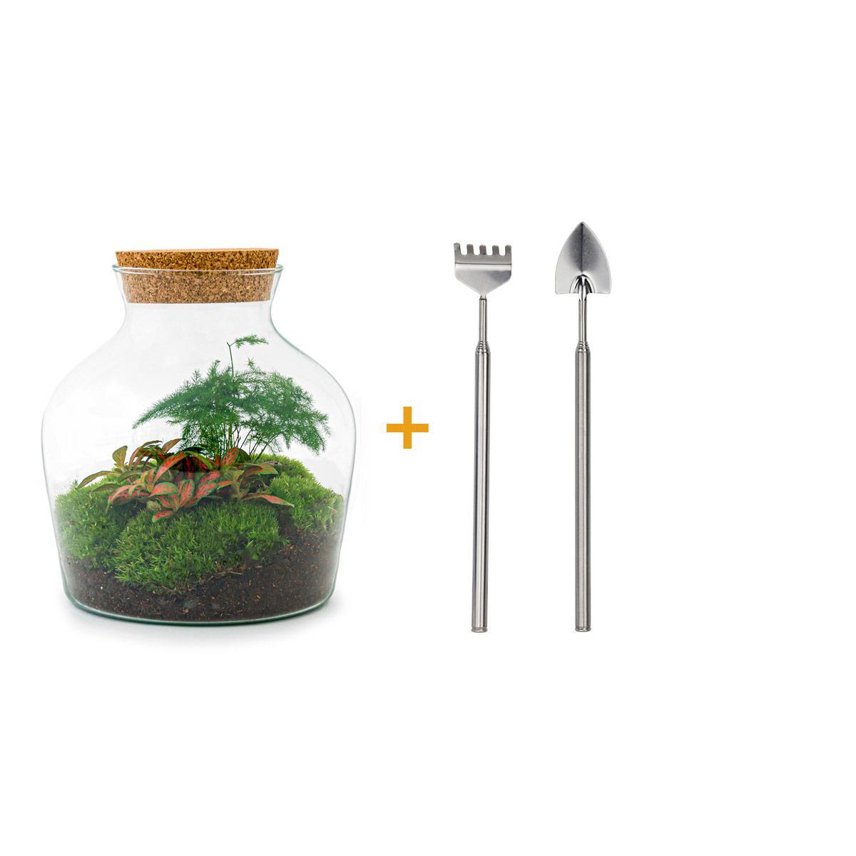 DIY terrarium Little Joe met Rake + Shovel