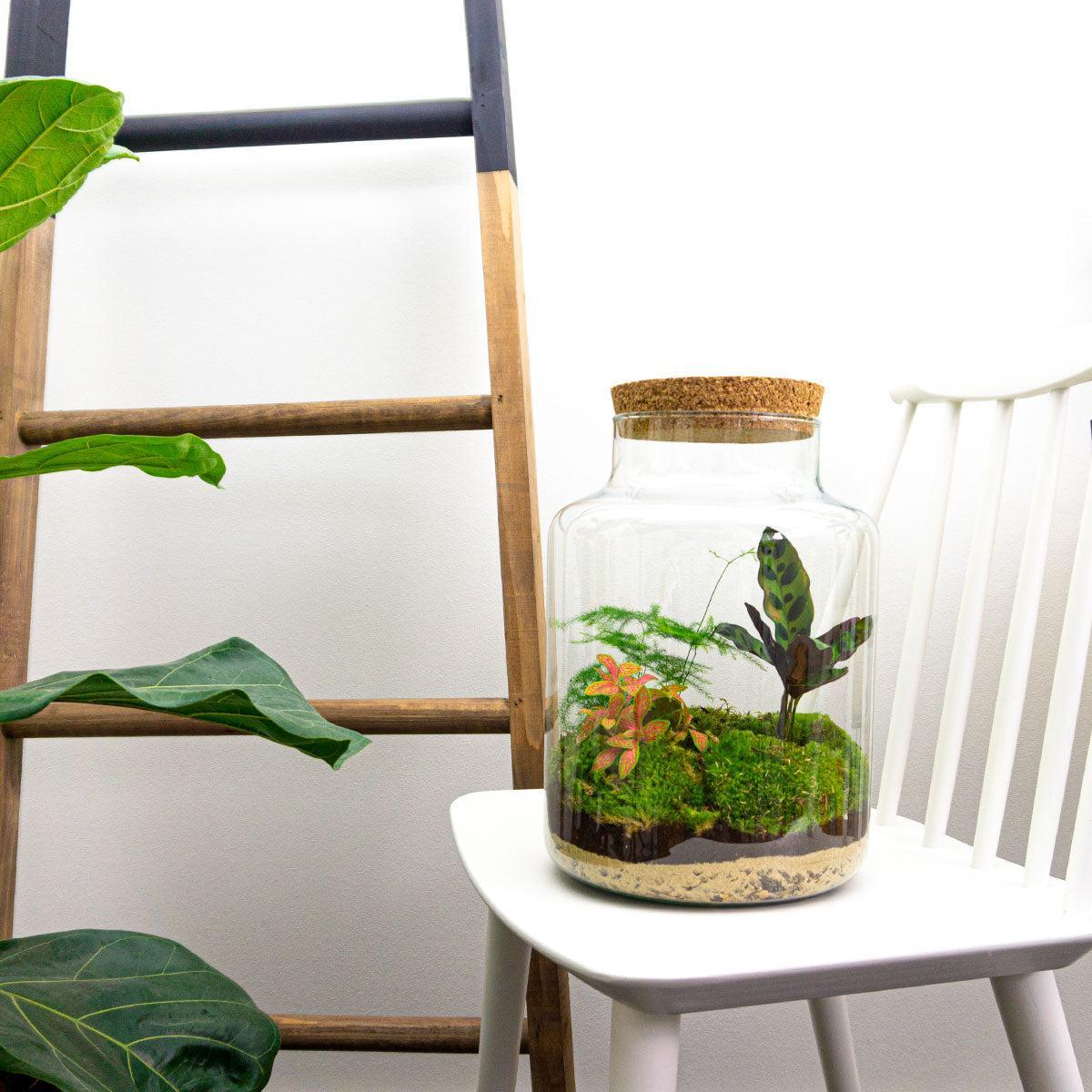 DIY terrarium Milky