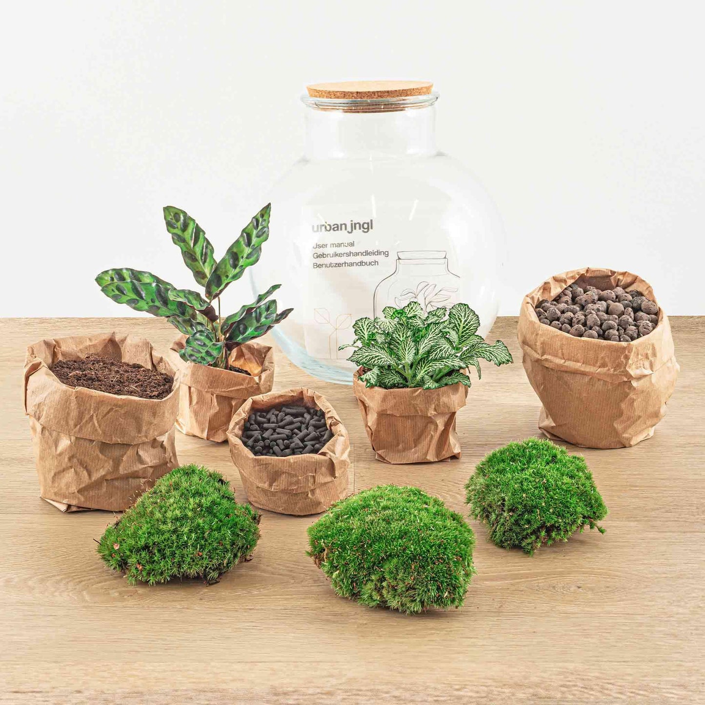 DIY terrarium Teddy