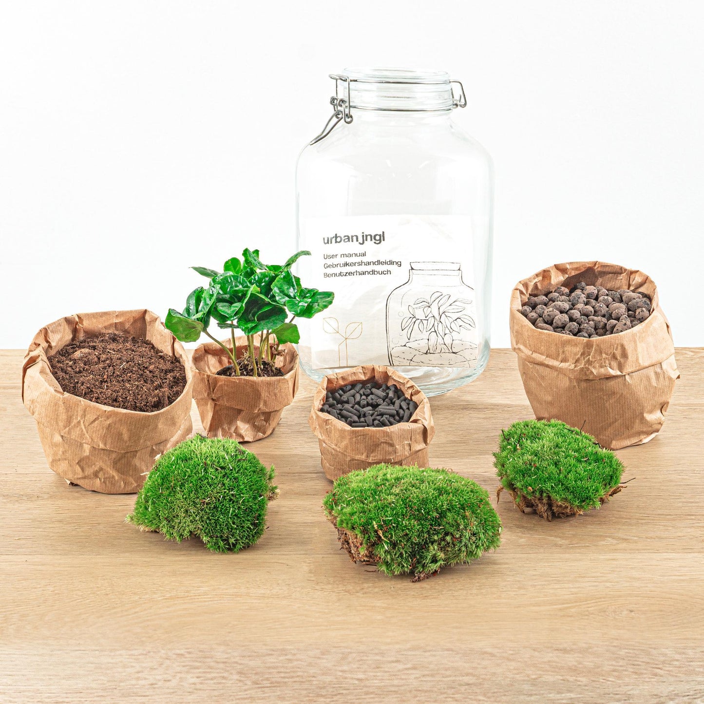 DIY terrarium Weckpot