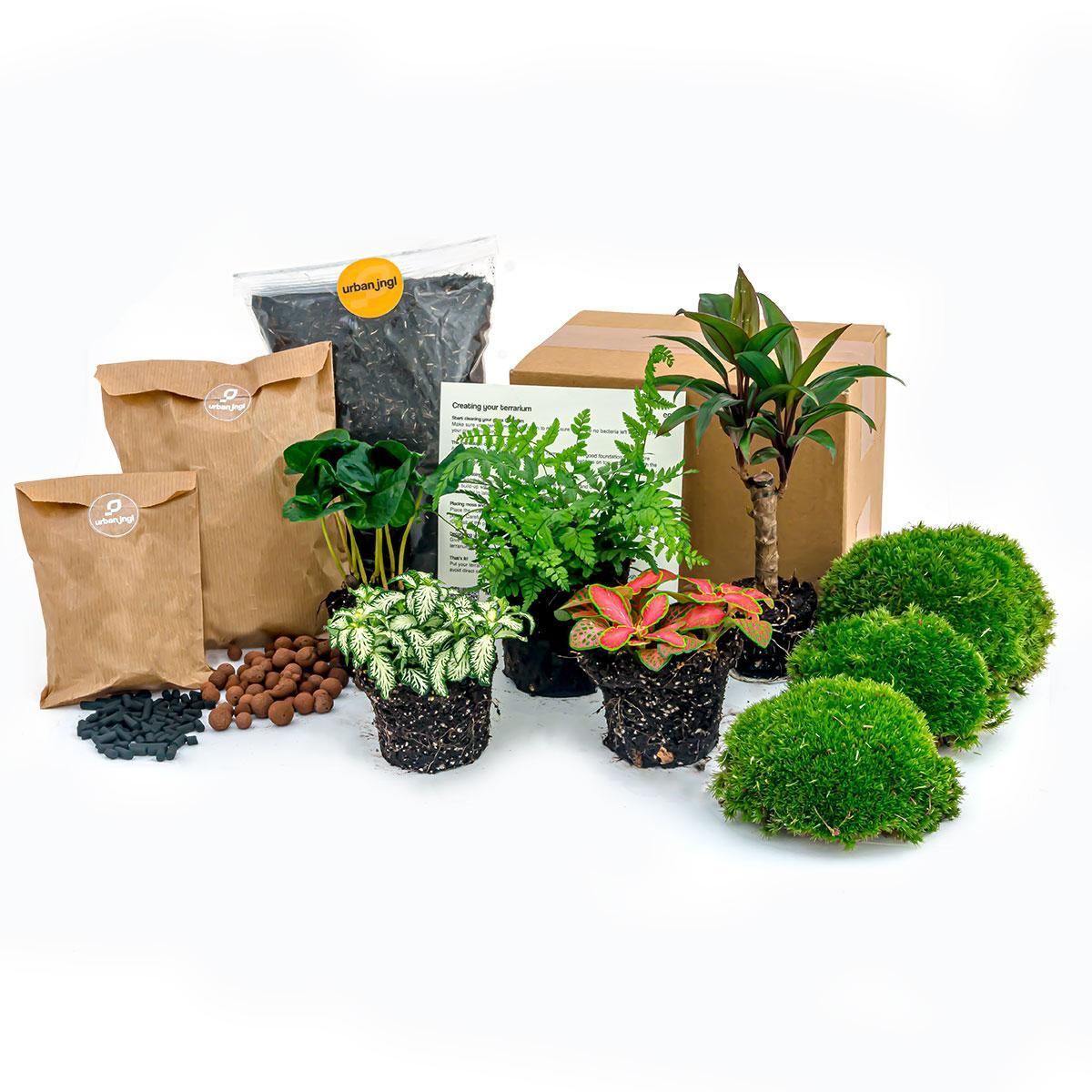 Navulling/Startpakket terrarium 5 planten