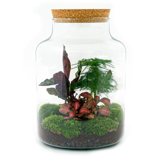 DIY terrarium Milky
