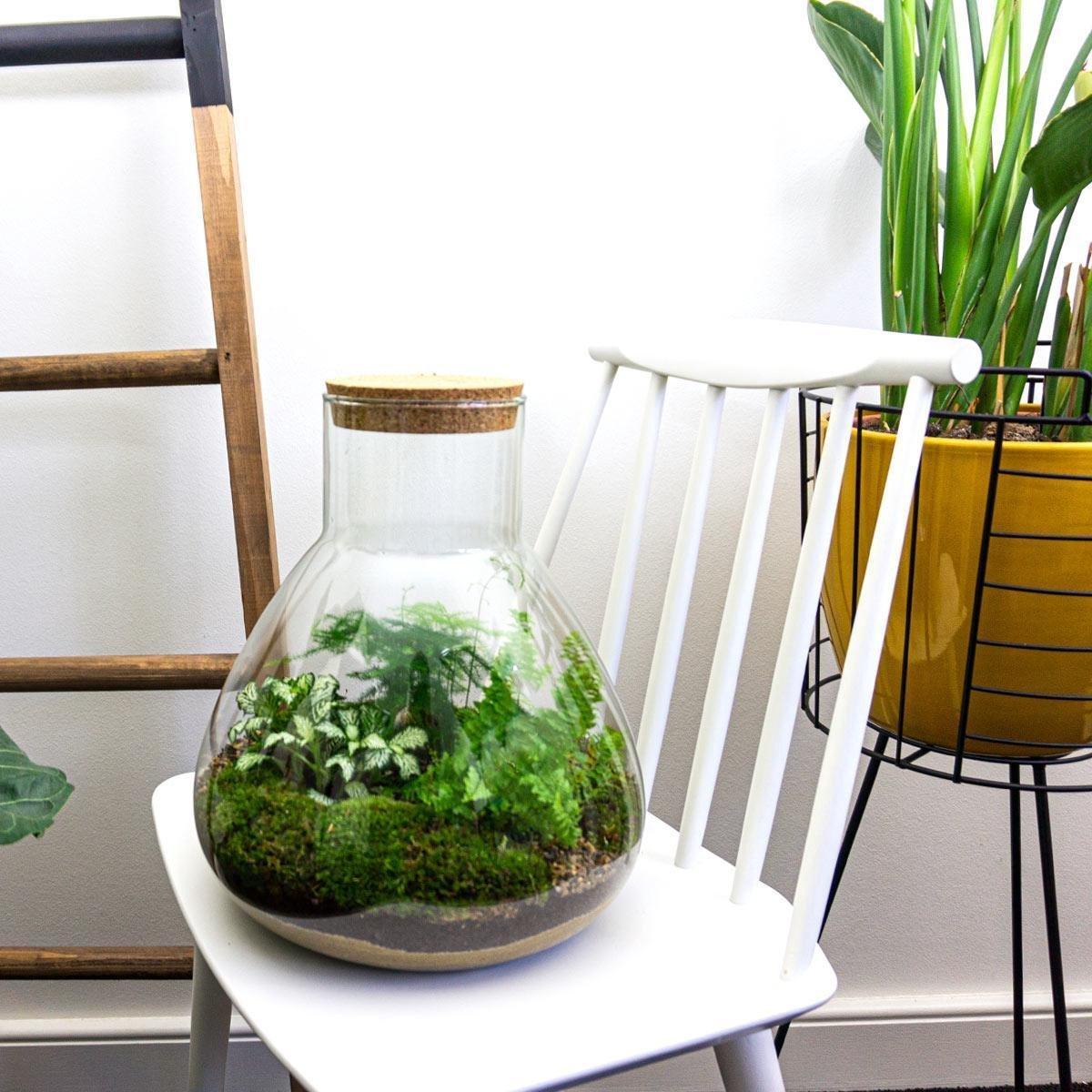 DIY terrarium Sam XL