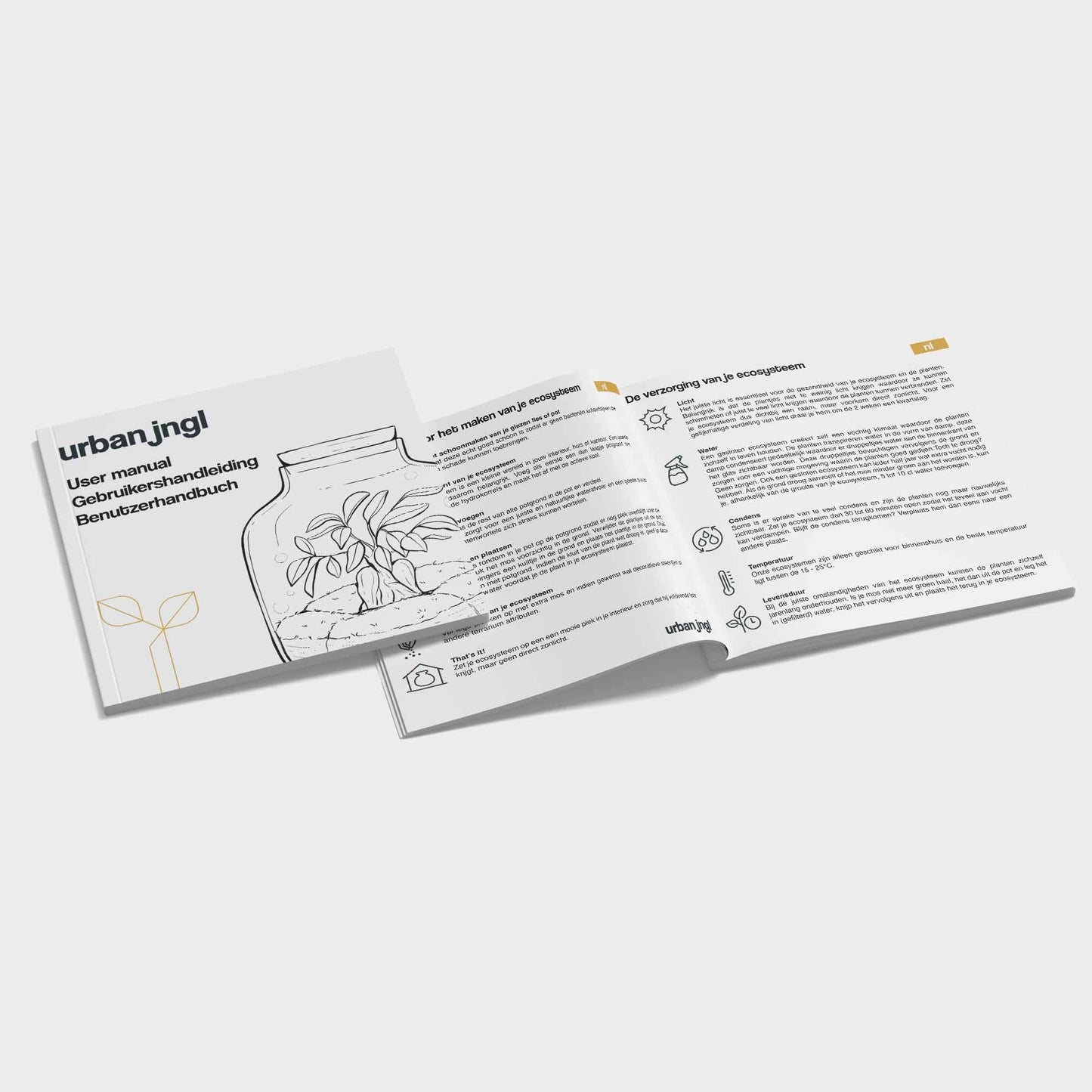 Planten terrarium pakket Calathea Lancifolia - Navulling & Startpakket- DIY