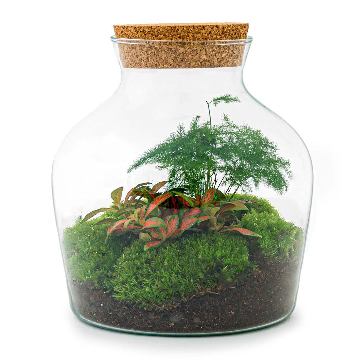 DIY terrarium Little Joe met Rake + Shovel