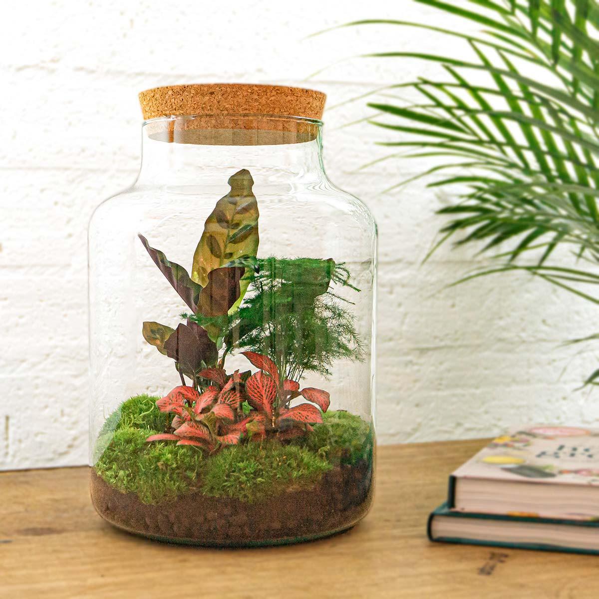 DIY terrarium Milky